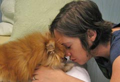 Disk disease in cats and dogs treated with acupuncture, herbals, diet, supplements