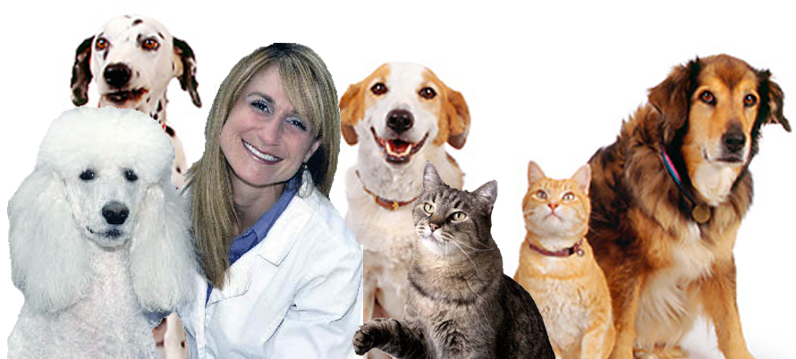 Dr. Rachel Addleman, DVM, DABVP, CVA and her dog Avi